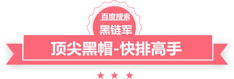 2024新澳精准免费大全seo外链推广员